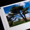 Colour Rendering for 300gsm Pearl Paper