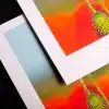 Close up of the colour rendering for this paper