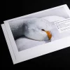 Colour Rendering for 265gsm Satin/Oyster Paper