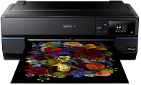 epson-p800